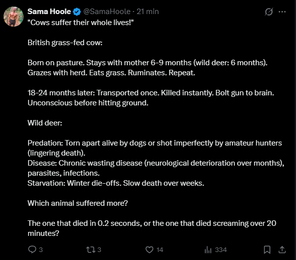 Capture d’écran 2026-02-07 054906.png